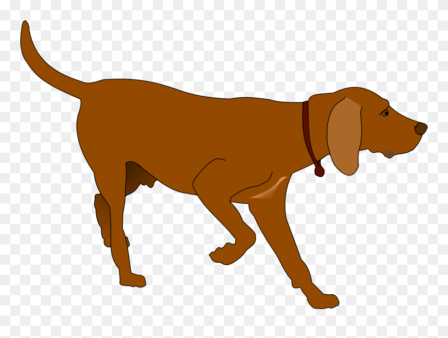 Hunting Dog - Hunting Dog Clip Art - Png Download