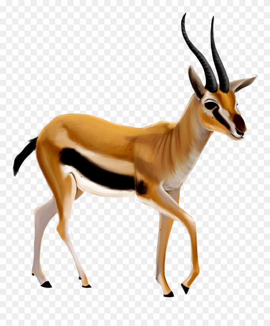 Gazelle Clipart Ghazal - Gazelle Clipart - Png Download