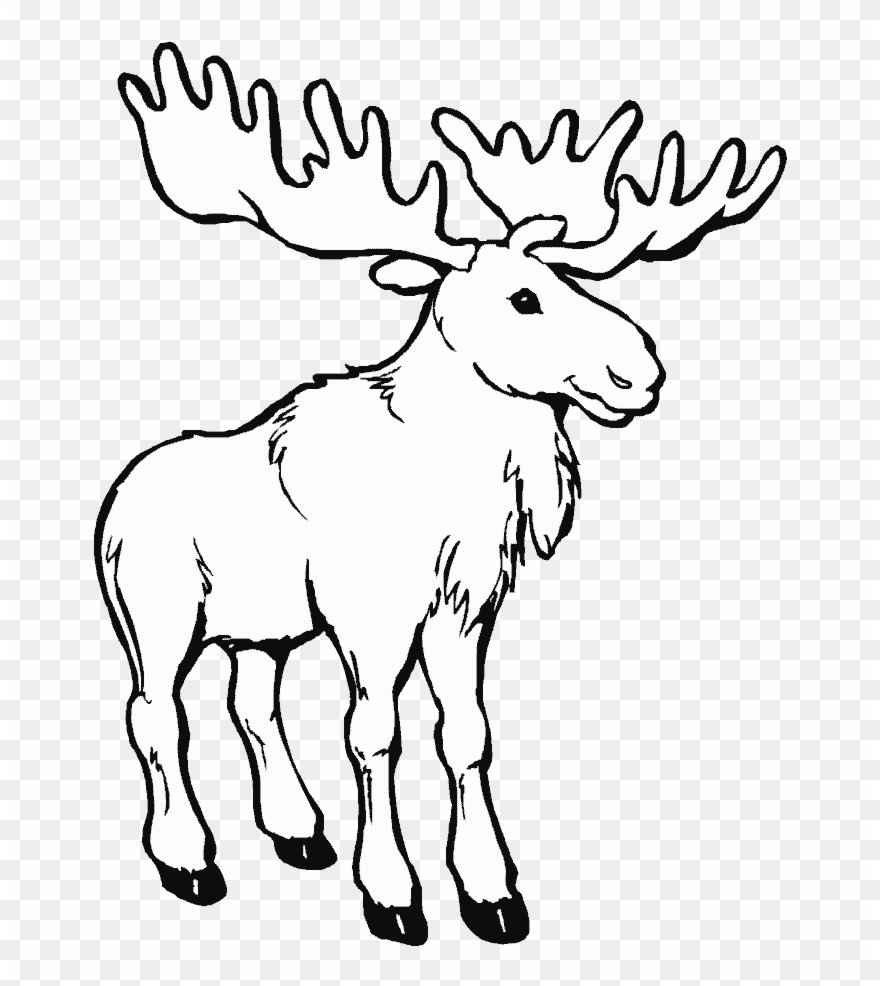 Caribou Animals Printable Pages Drawings And - Canada Day Coloring Pages Clipart