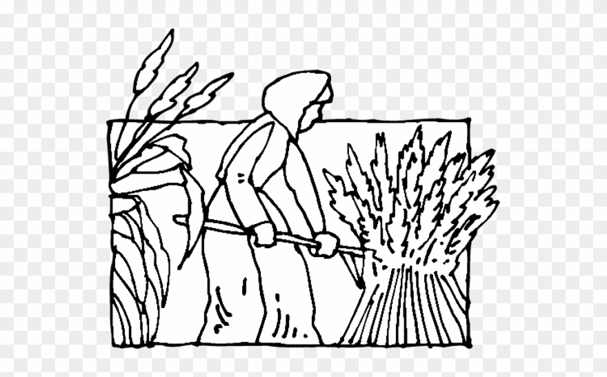 Banner Library Download Farm Fields Clipart Black And - Coloring Book - Png Download