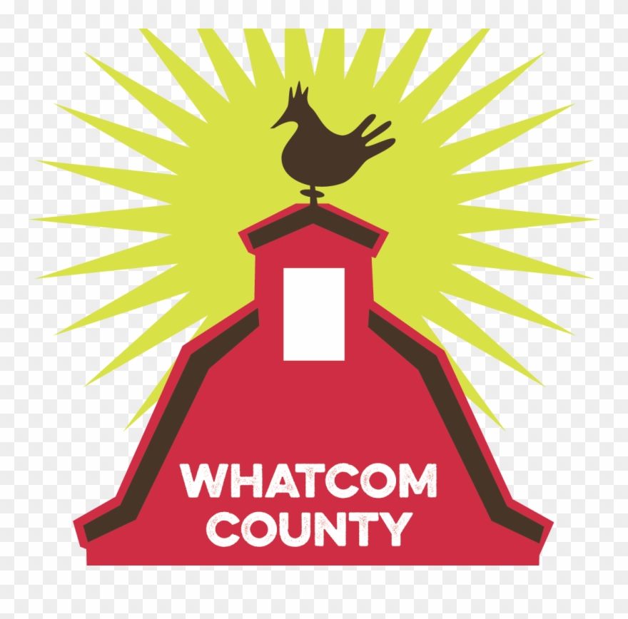 Illustration Clipart