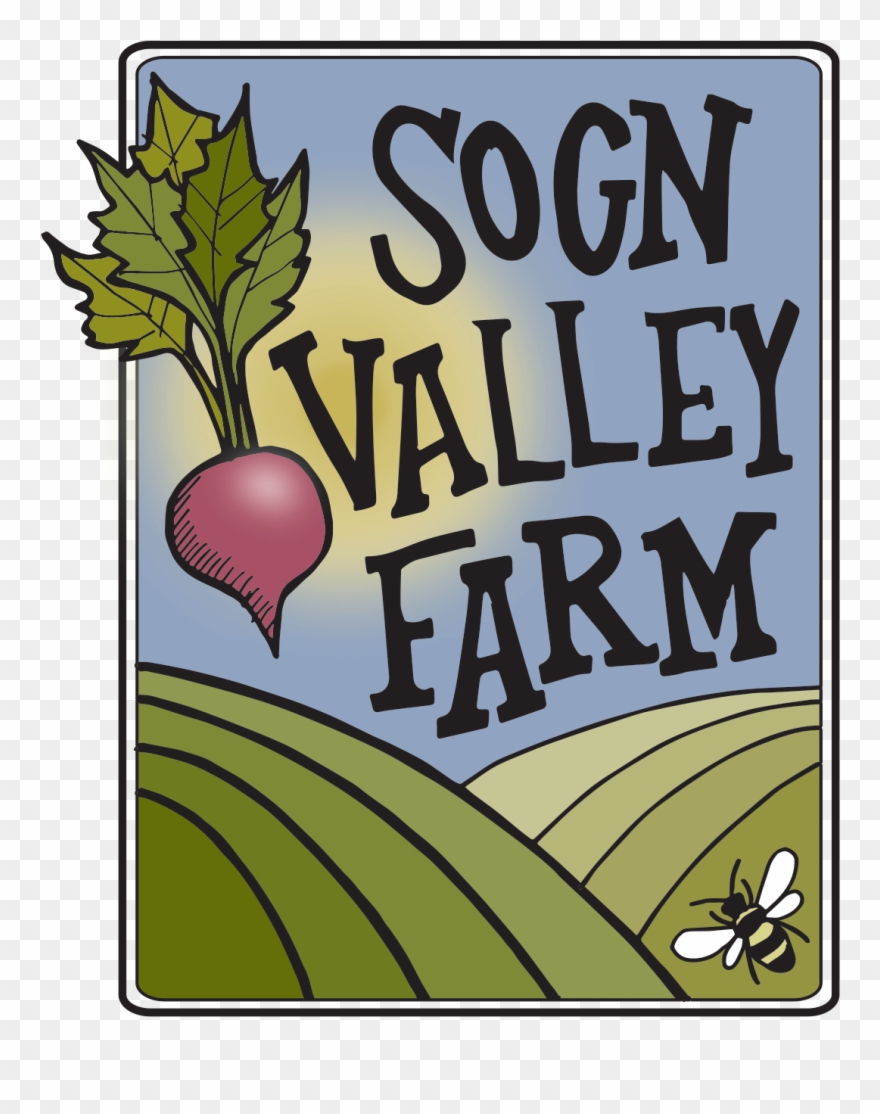 Jpg Library Sogn Valley Farm Organic - Turnip Clipart