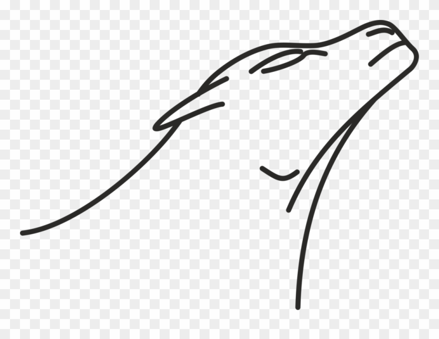 Line Art Drawing Lion Monochrome - Drawing Clipart