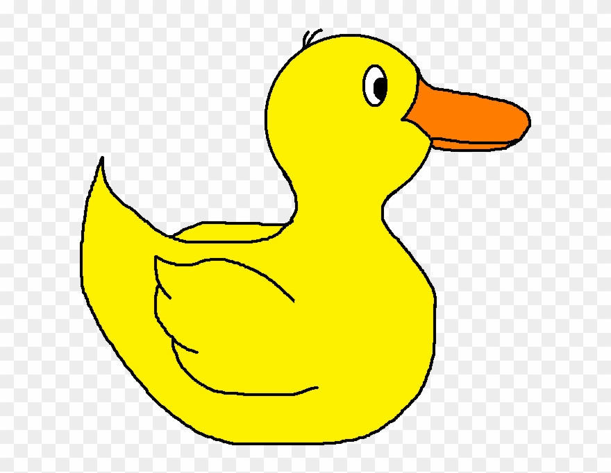 Duck - Clip Art - Png Download