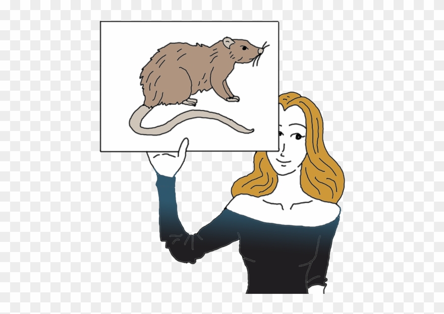 Sterling Silver 925 Clipart