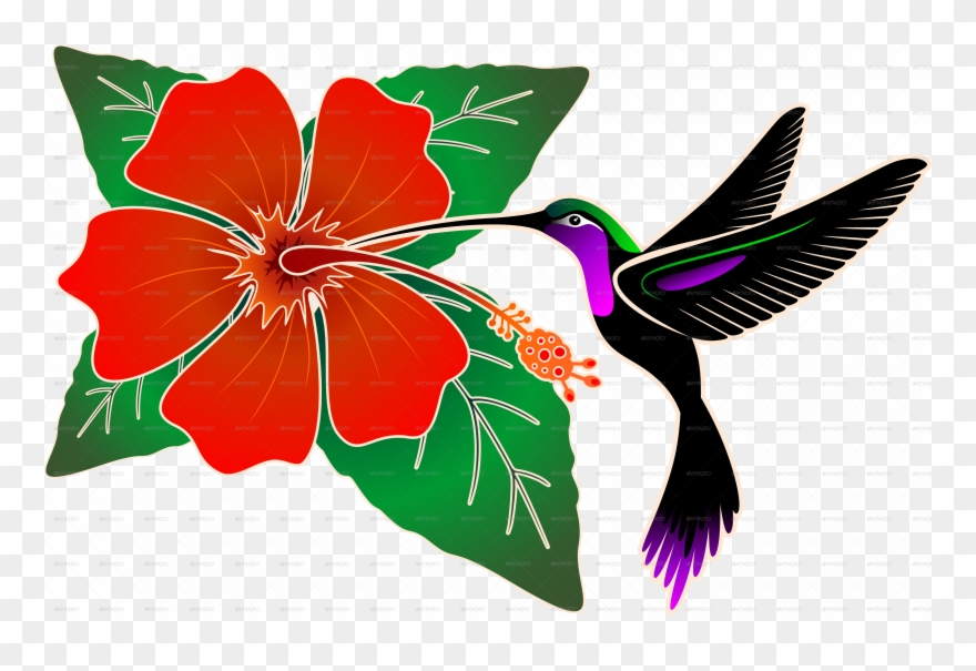 Batik Png Png Images - Hummingbird And Hibiscus Clipart Transparent Png