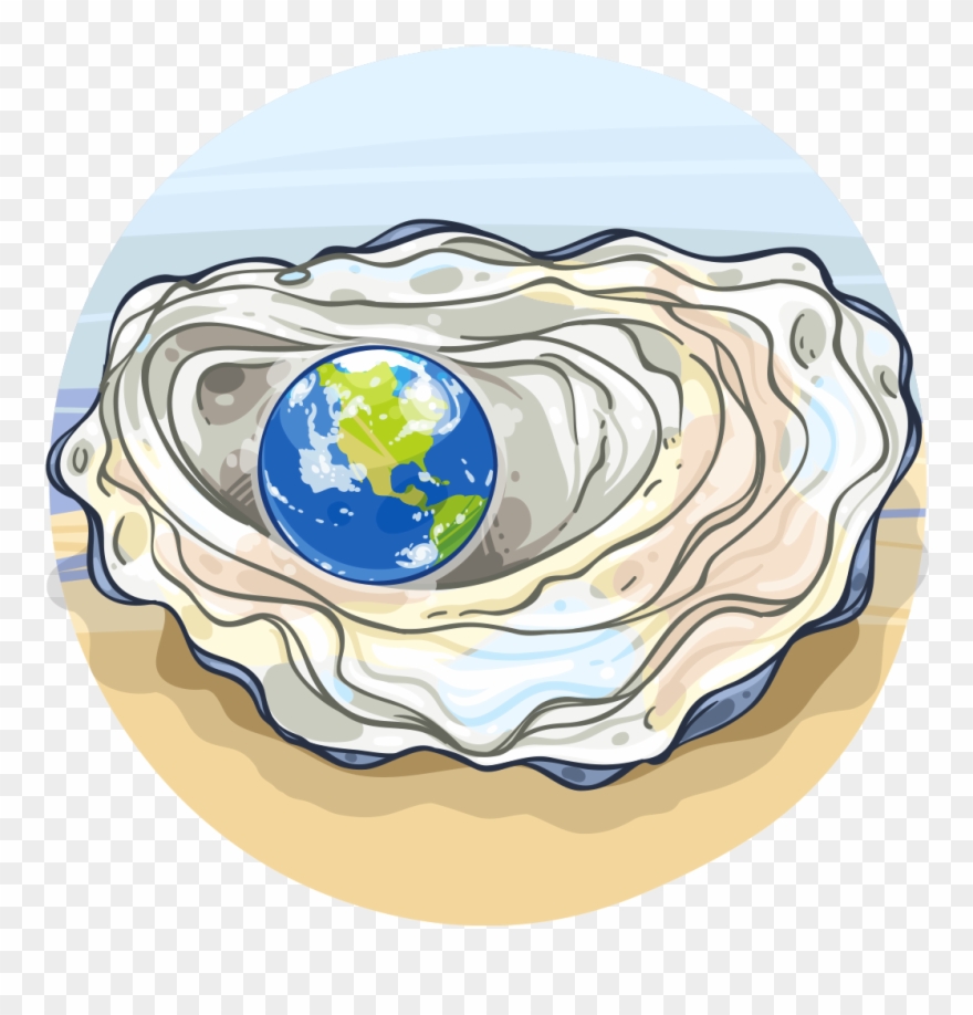 Graphic Transparent Library Clam Clipart Bivalve - 180818 - Png Download