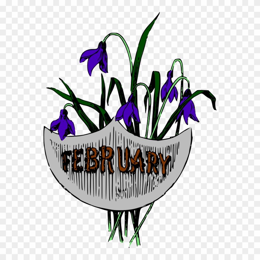 Medium Image - Color Clipart