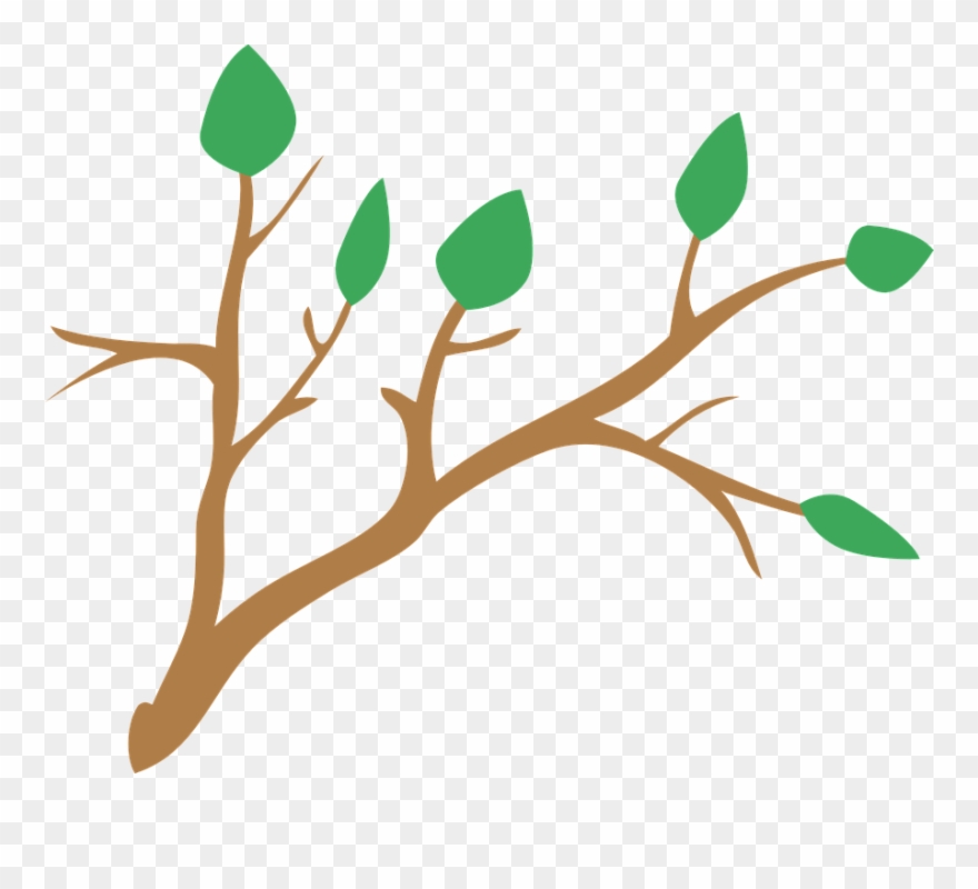 Branche Clipart