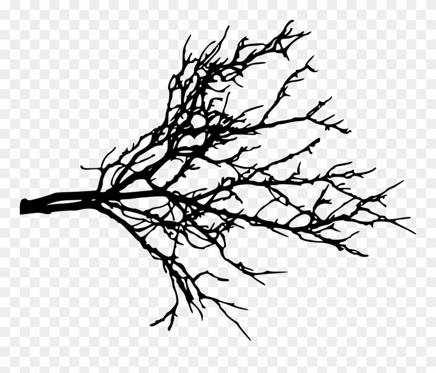 Free Download - Tree Branch Silhouette Png Clipart