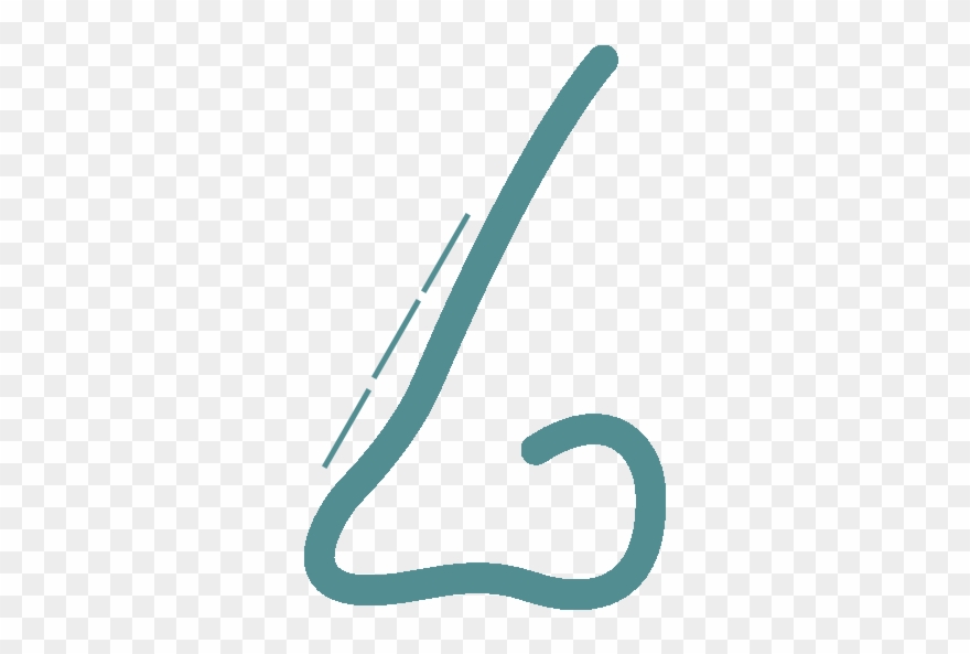 La Cirugía Plástica Es Una Especialidad Quirúrgica - Illustration Clipart