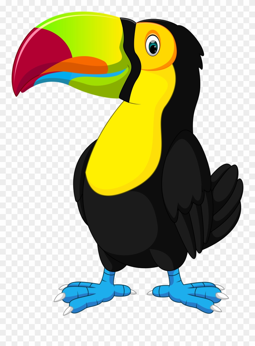 Bird Clipart Png Transparent Png