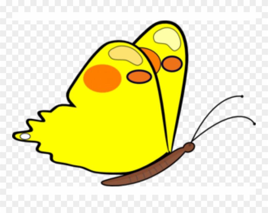 Motylki - Butterfly Clipart - Png Download