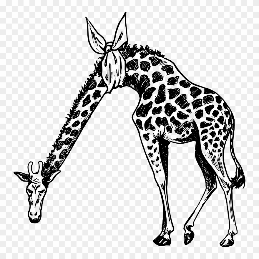 Medium Image - Giraffe With Bad Neck Clipart