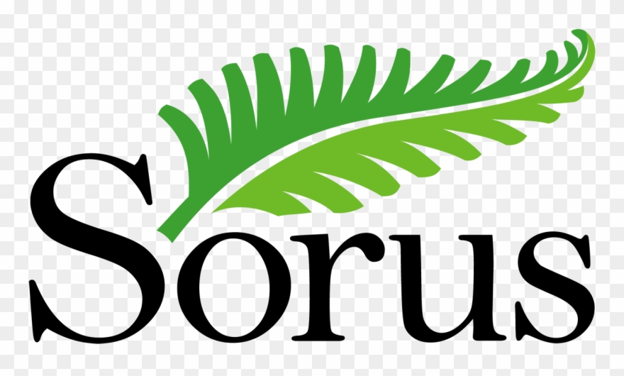 Wydawnictwo Sorus - Marketing Clipart