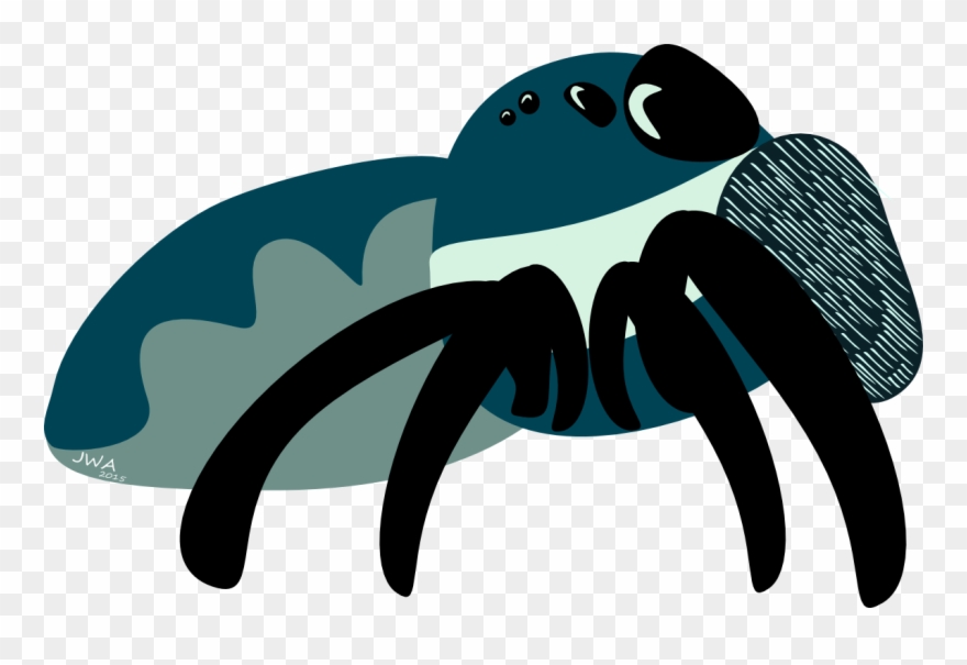 Virtual Spiders - Jumping Spider Clipart