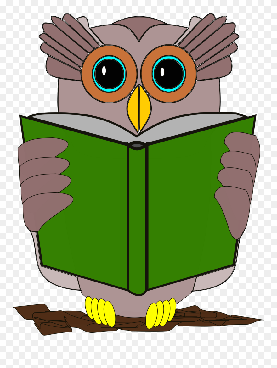 Owl Book Review Reading Bird - Book Clipart