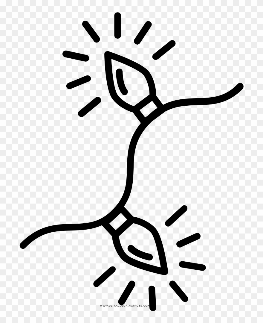 String Lights Coloring Page Clipart