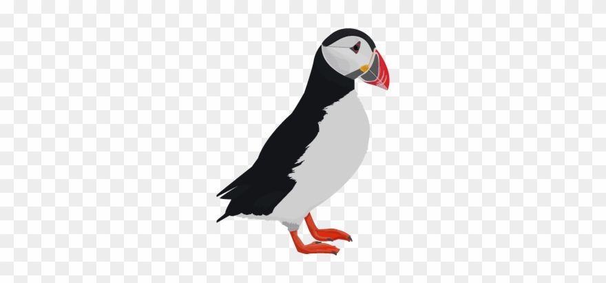 Week - Atlantic Puffin Clipart - Png Download