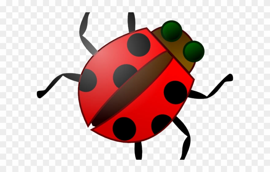 Insect Clipart Kid Png - Bug Clip Art Transparent Png