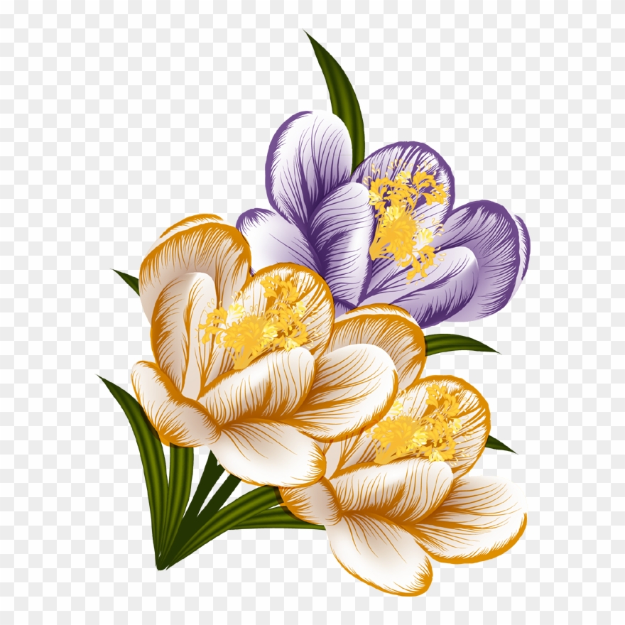 Bouquet Of Flowers - Flower Clipart