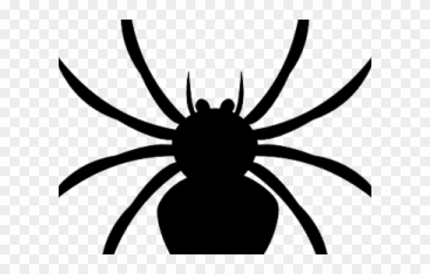 Spider Clipart Water Spider - Black Spider Clipart Png Transparent Png