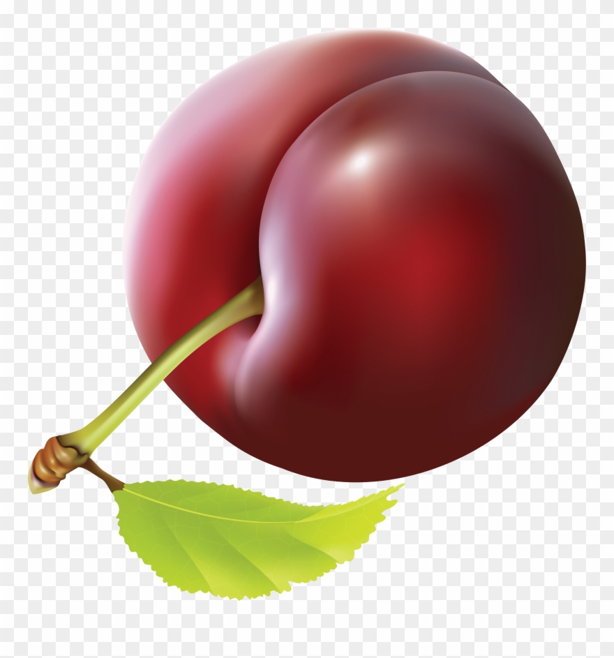 Plum Clip Art Transparent - Clip Art Plum - Png Download