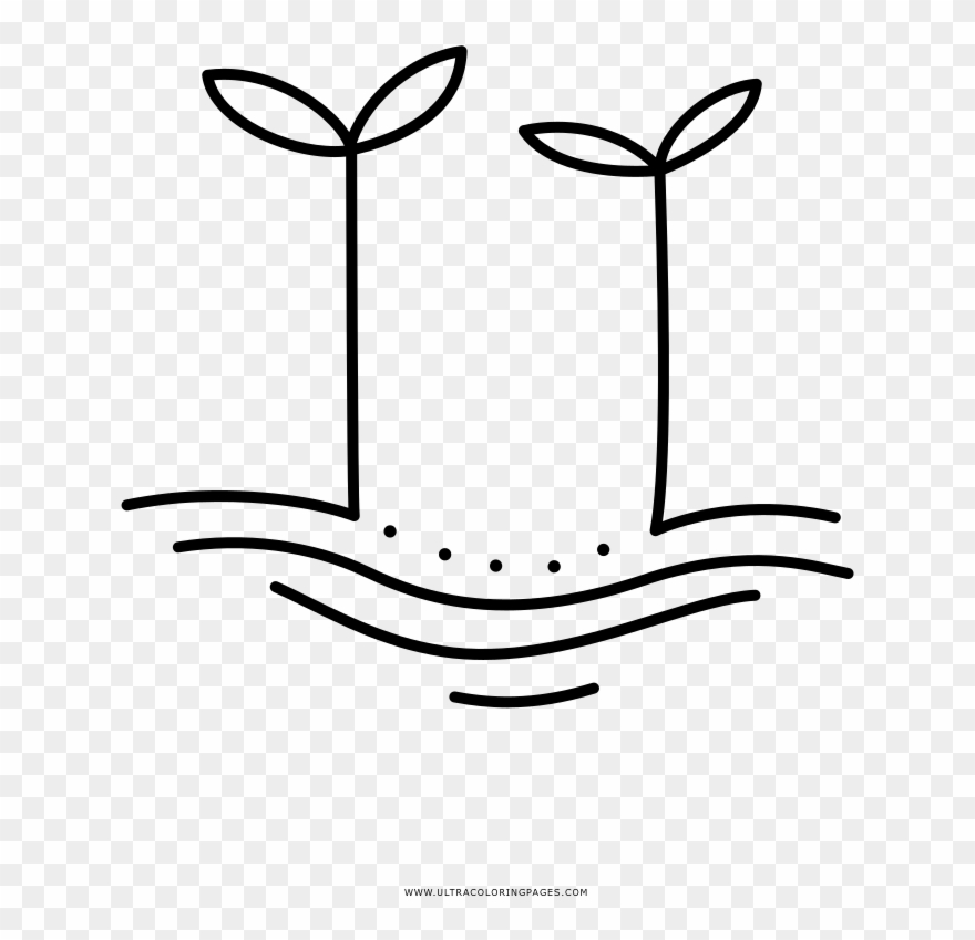 Sprouts Coloring Page - Line Art Clipart