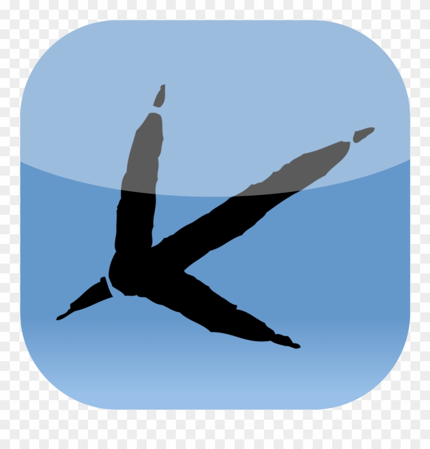 Bristol Natural History Consortium - Bird Clipart