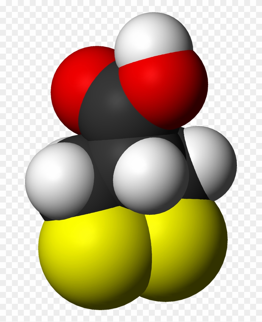 File - Asparagusic Ac - Circle Clipart