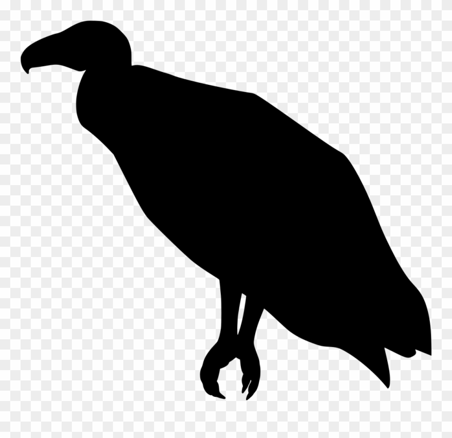 Download Png - Flightless Bird Clipart