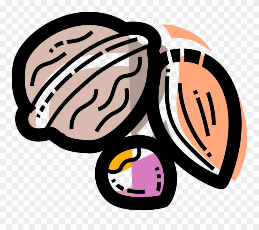 Seeds Clipart Edible Seed - Png Download