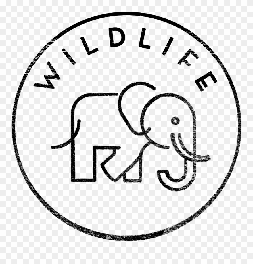 1028 X 1028 1 - Indian Elephant Clipart