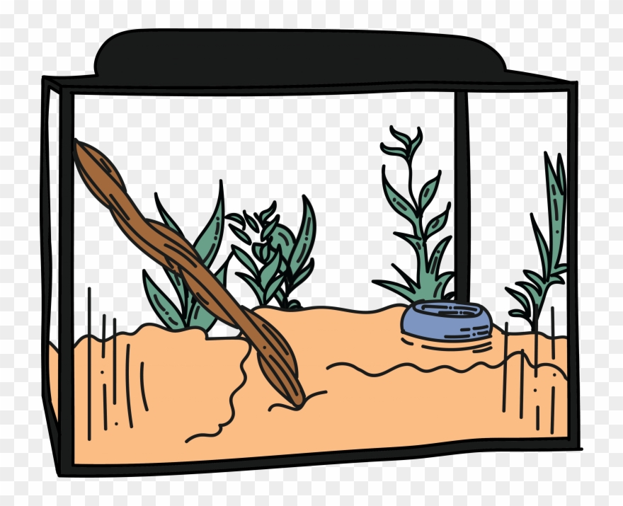 The Best Enclosure For A Full-grown Iguana Is 12 Feet Clipart