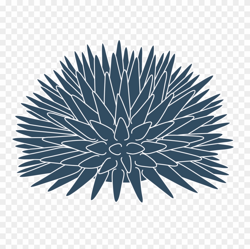 About This Project - Floral Design Clipart