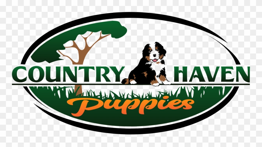 Png Logo Download - Dog Catches Something Clipart