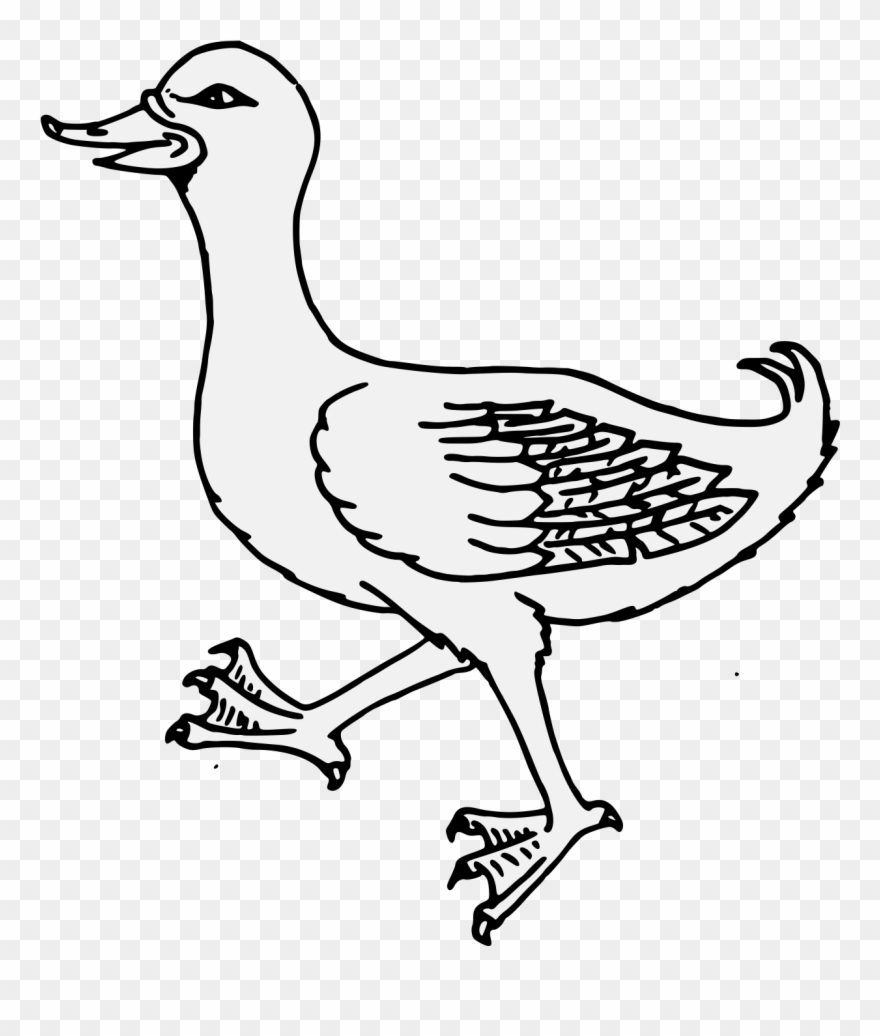 Details, Png - Duck Clipart