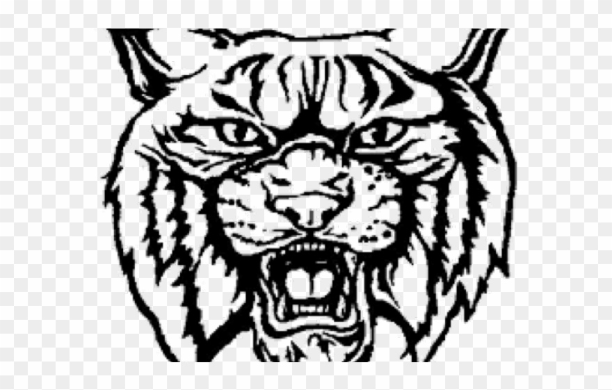 Wildcat Clipart Transparent - Logan Rogersville Wildcat - Png Download