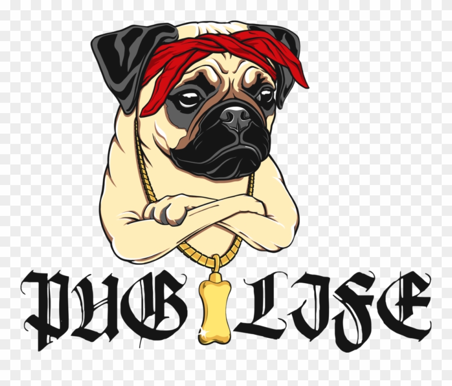Pug Png - Pug Life Png Clipart