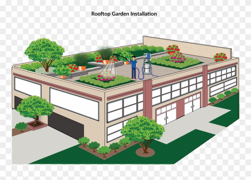 1200 X 792 0 - Roof Gardening Model Clipart