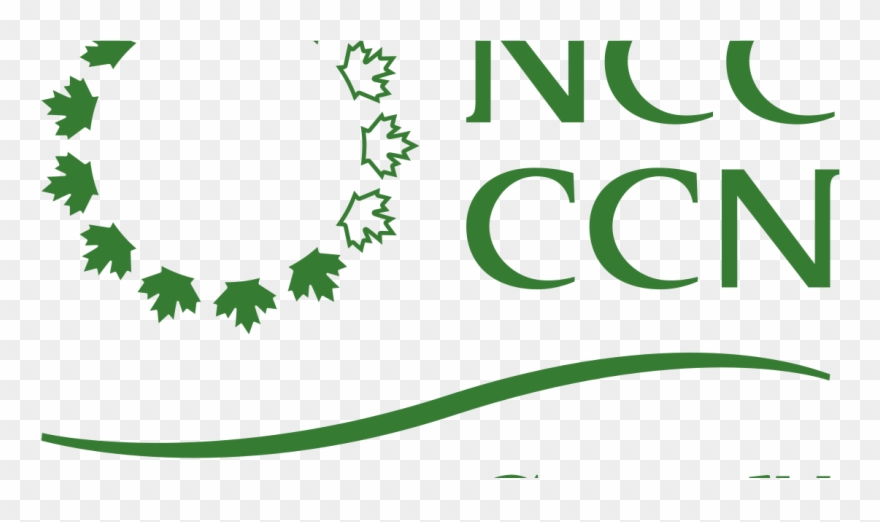 The - National Capital Commission Logo Clipart