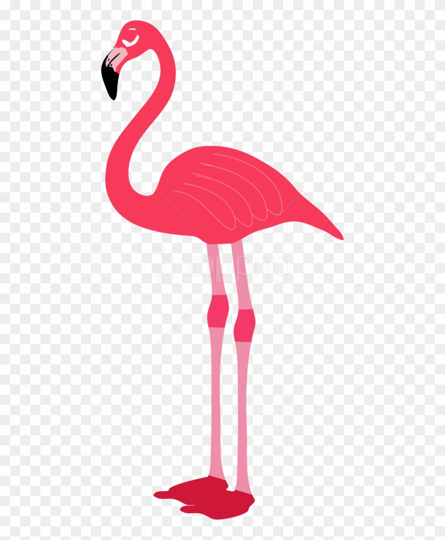 Free Png Download Flamingo Png Images Background Png - Transparent Background Flamingo Png Clipart