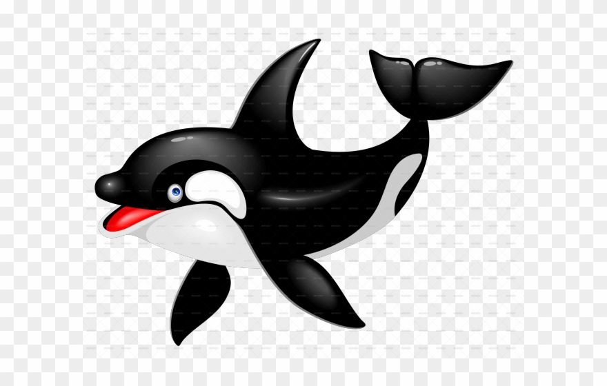 Killer Whale Clipart Paus - Killer Whale Png Cartoon Transparent Png
