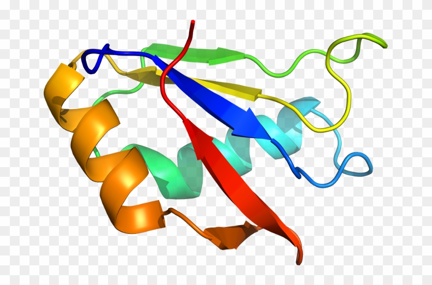 View In 3d - Graphic Design Clipart