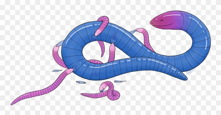 1182 X 675 3 - Earthworm Clipart