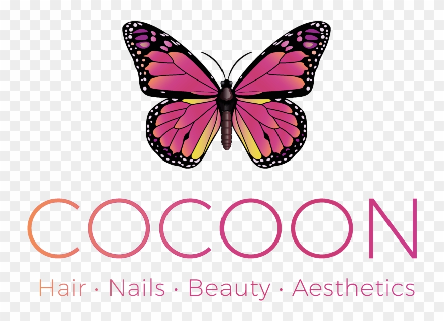 Cocoon Was Established In - Monarch Butterfly In Danger Of Extinction Clipart