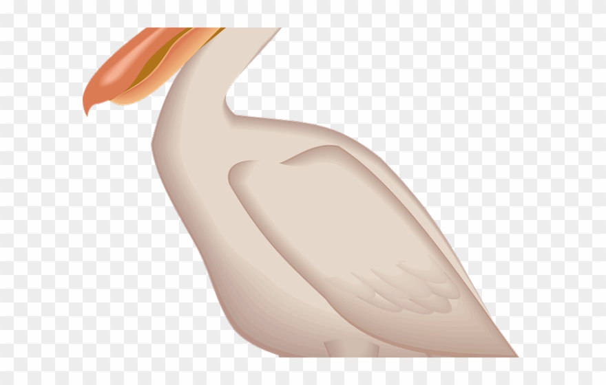 Sea Bird Clipart Pelican - Swan - Png Download