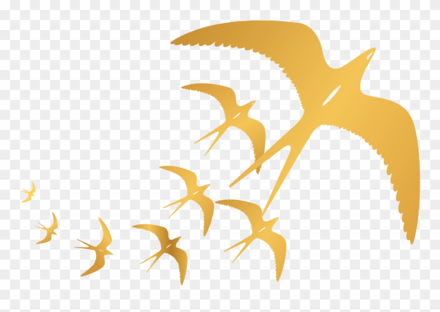 Edible Bird's Nest , Png Download - Edible Bird's Nest Brand Logo Clipart