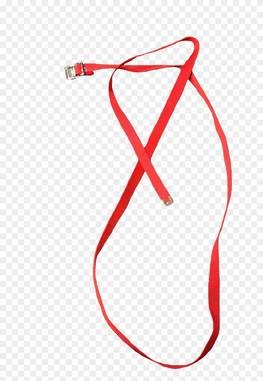 Nylon Strap Red 5 Ft Clipart