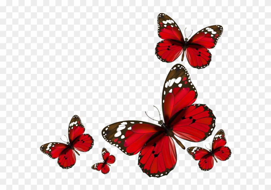 Red Butterflies Png Clipart